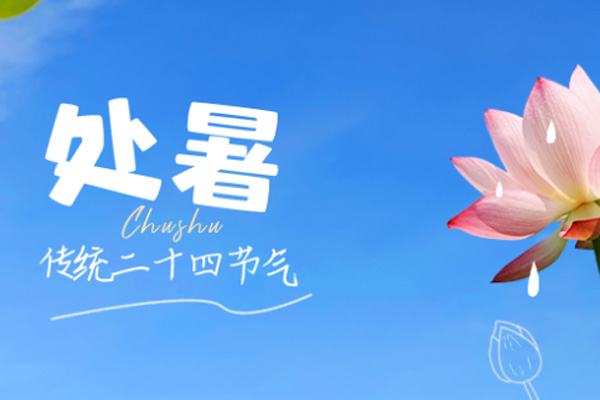xꖹ | ,